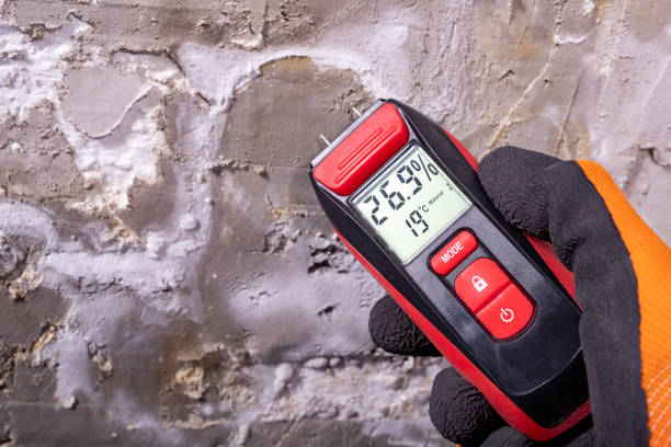 Best Localized Mold Remediation (e.g., coastal areas, humid climates) in Mount Ida, AR
