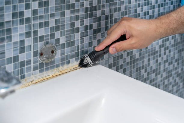 Best Commercial Mold Remediation in Mount Ida, AR